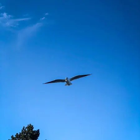 Prázdninový dům Muschel Glücksburg