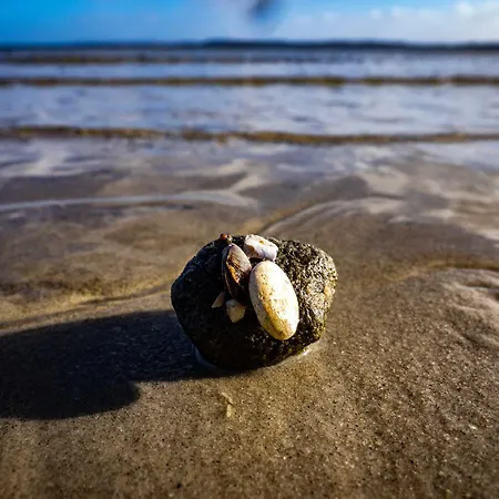Muschel Prázdninový dům Glücksburg