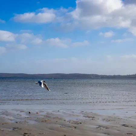 Muschel Prázdninový dům Glücksburg