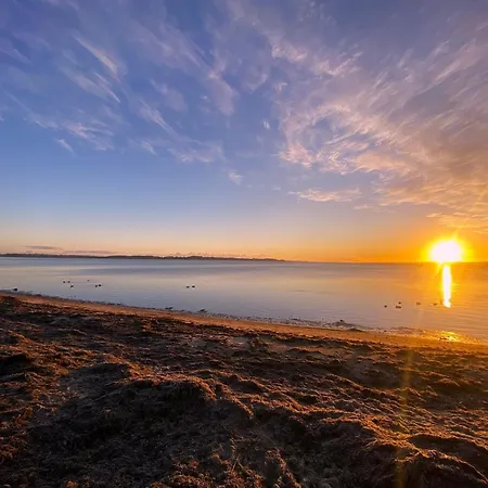 Feriehus Muschel Kobbelluck