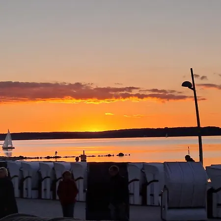 Muschel * Glücksburg